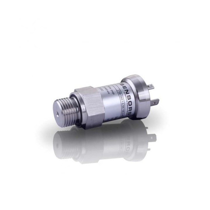 Pressure transmitter DMP 333