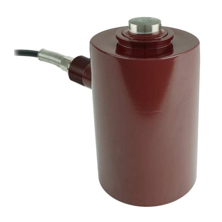 C2P1 load cell